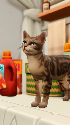My pets in The Sims 4 🐾 Part 1 #симс4 #sims4 #gameplay