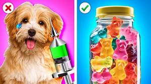 Extreme Pet Rescue in Hospital | Good VS Bad Doctor, Hacks for Smart Pet Owners by Zoom Zoom | Zoom Zoom