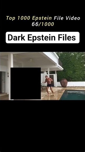 Epstein File 66/1000 | Post-Conviction Motions & Appeal File 66
