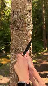 Incredibly Easy Way to Start a Fire! | Awesome