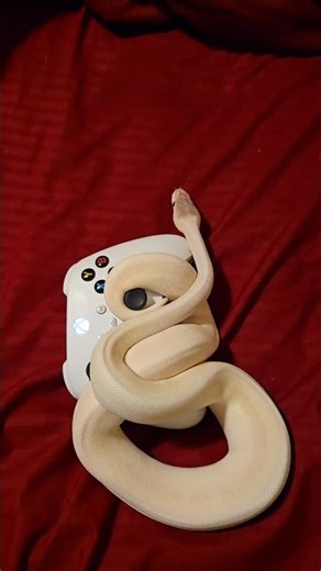 THIS IS WHAT KEEPS KILLING YOU! 🔥👀