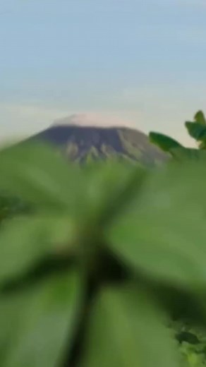 Did you know that sustainable cooking is now a growing trend among...