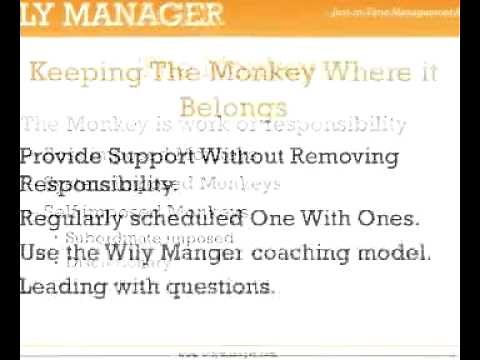 Delegating Responsibility: The Monkey on Your Back - A 3-Minute Crash Course