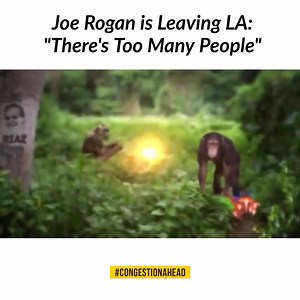 1.1M views · 19K reactions | Can you relate? | Congestion Ahead | Facebook