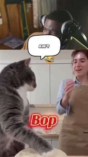 ❤️❤️❤️❤️