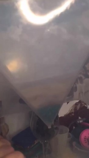 68K views · 3.1K reactions |  Before I was the Domino Queen, I was...