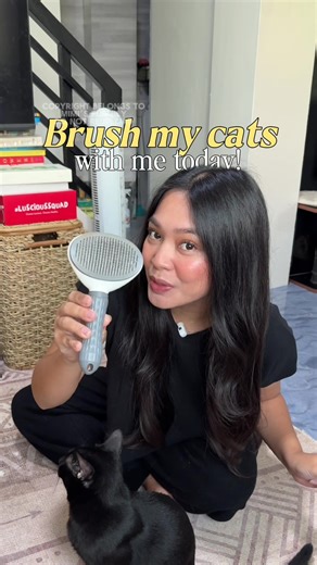 Essential Fur Brushing Tips for Long-Haired Cats