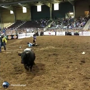 1.2M views · 3K reactions | Caden Harper had a tough go at the Bulls of the West this past weekend. Coyote Hills Fighting Bulls #157 LawDog #HeAintHooky #RodeoWrecks #BullsOfTheWest #FreestyleBullfighting | Rodeo Wrecks | Facebook