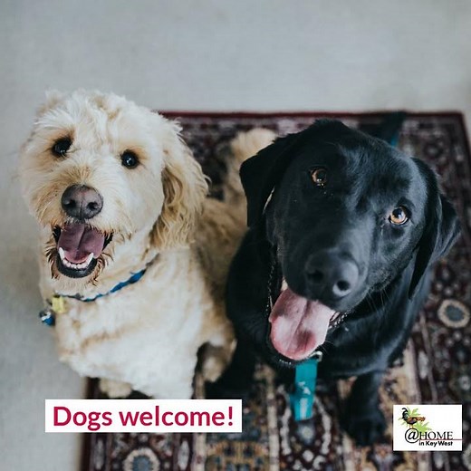 Paradise Place Monthly Vacation Rental by At Home in Key West