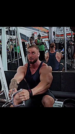 Mr Olympia cbum back workout