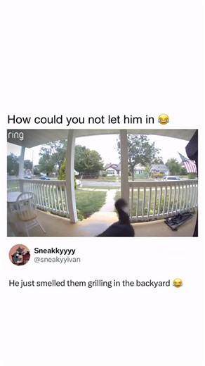 @hauntedanimal on Instagram: "The Ring camera has redefined what home security can be. Beyond helping reunite lost pets with their owners, it provides real-time visibility that helps deter crime, document incidents, and keep neighborhoods informed. From monitoring deliveries to capturing important moments that would otherwise go unseen, Ring adds an extra layer of awareness and peace of mind. It’s more than a doorbell, it’s a smarter way to stay connected to what matters most. #paidpartner"