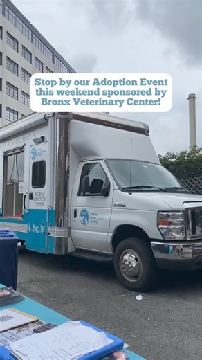 2.1K views · 43 reactions | Stop by our next adoption event sponsored by Bronx Veterinary Center!Saturday, May 25 | 12pm – 4pm Bronx Veterinary Center 1640 Eastchester Rd Bronx, NY 10461 Visit nycacc.org/adoption/events to see the dates and locations of our future mobile adoption events! #nycacc #boroughbred #adoptabledogs #shelterdogs #rescuedogs #adoptionevents #nycactivities #nycevents #nycthingstodo | Animal Care Centers of NYC (ACC) | Facebook