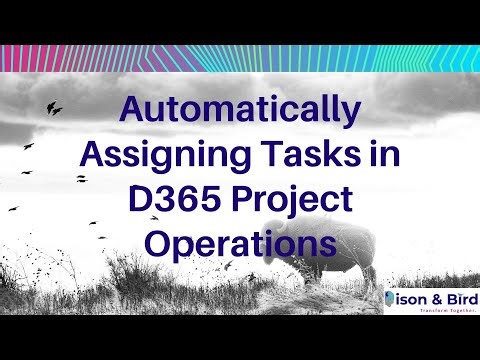 Using the Scheduling Tool in Project Operations Combining Manual and Automatic Methods 📅