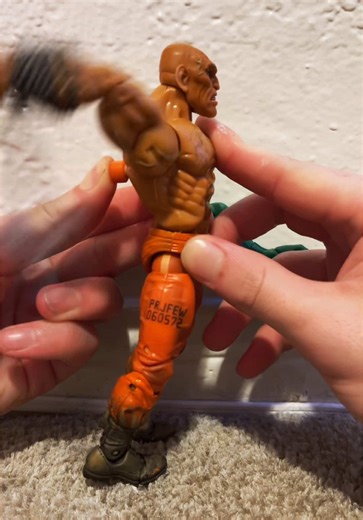 Mr. Turtle on TikTok