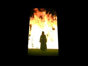 Bill Viola - Fire Woman (2005)