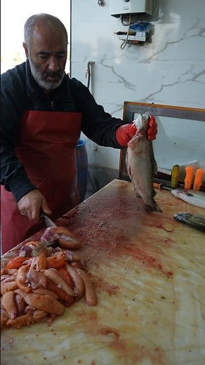 Massive Salmon Trout Eggs (Roe) Harvest – Cleaning & Filleting Tutorial