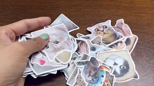 50 Pcs of Cute Kawaii Cat Meme Stickers - Funny Decals for Adults, Teens | Personalizing Skateboard,Bicycle,Notebooks,Stationery,Laptop,Water Bottles