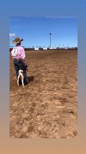 @jdcowboyfrommaui First time goat tying and did super good!! 💪🏽💪🏽 #mauicowboy #hawaiicowboy | Jonny Eusebio