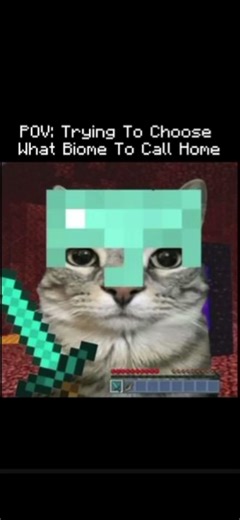 Gotta pick the best #minecraft biome