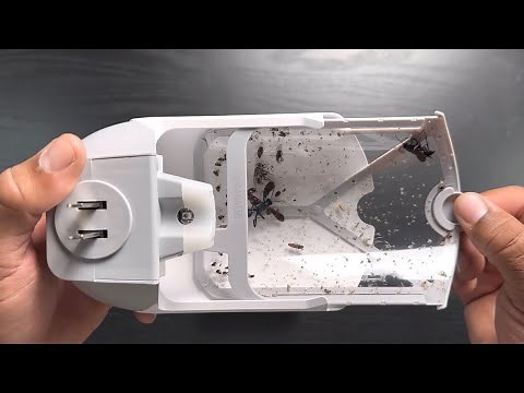 ZEVO Flying Insect Trap | “Unboxed” | Review