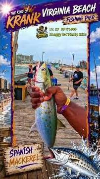 How to Catch Spanish Mackerel from a Pier (Virginia Beach Hot Bite!)
