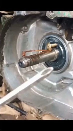 "Easy Technique for Removing Oil seal" #repair #carrepair #shorts