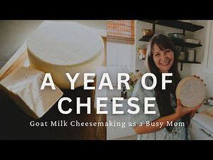 All the Cheese I Made From Our Goat Milk This Year | Homestead Cheesemaking Tour