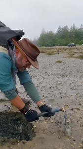 Dune sandworms are real?! #wildlife #dune #sandworms #coyotepeterson | Coyote Peterson