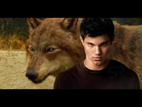 Jacob Black: The Biggest Wolf in Twilight | The True Power of the Alpha Bloodline