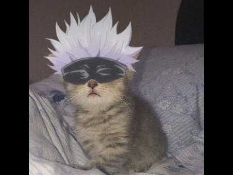 SCRIPT SAILOR PIECE PASTEBIN ROBLOX GAME , AUTO FARM ,REROLL RACE , AUTO KAITUN , MOON UPDATE