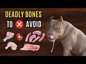DANGEROUS BONES!!! (Raw Bone Safety!)