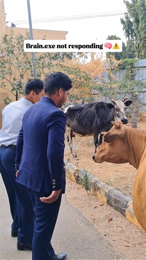 Brain.exe Not Responding 😵‍💫