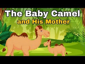 The Baby Camel 🐫 and His Mother / bed 🛌 story / Kids Bulb 💡