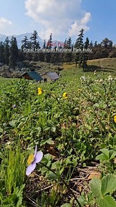 Amazing Location Great Himalayan National Park #Trek #kullu #ghnp #himachalpradesh #manali | Rainbow 7