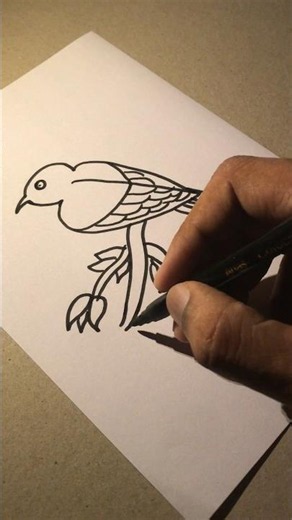 A Bird
