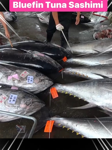Transform Giant Bluefin Tuna into Delicious Sashimi