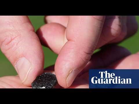 Meteorite Crash in Houston: A Shocking Incident Leaves Residents in Awe