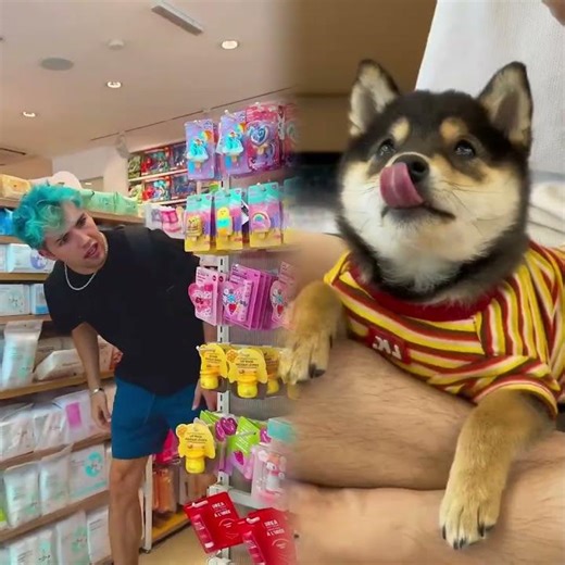 Compré a TODOS los personajes de “BT21” 😍🙌🏼