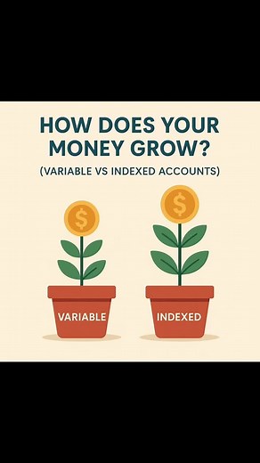 Core difference between Variable and Indexed accounts. Grow money smart. Protect your future. Know the difference. #FinancialLiteracy #WealthBuilding #moneymindset | Bruno Njowir