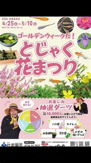メダカの稚魚にゾウリムシ