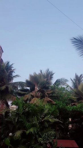 goa wale beach pe#instinctcreationz #shahidkijaan #itsmezidaanmerijaan #SwagStepChallenge @tiktok_india @tonykakkar @nehakakkar