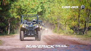 More videos you may like