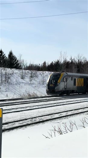 Two VIA trains crossing
