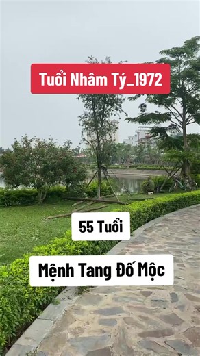 Tuổi Tý 1972 muốn phát tài đón vận may mắn thì làm ngay mẹo phong thủy này để mở vận đón tài lộc #tuoity #1972 #phongthuycaivan #phongthuytamlinh