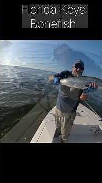 Fishing for Giant Bonefish in the Florida Keys 🎣 #fishing #floridakeys #bonefish