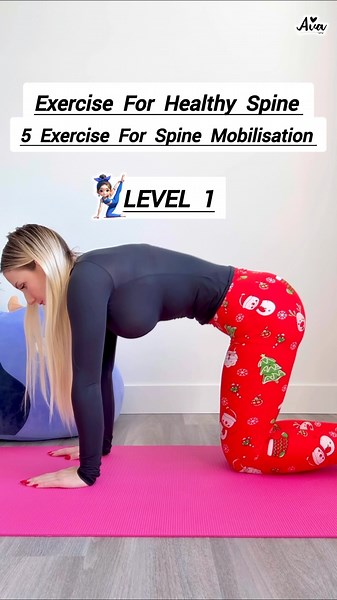 5 Moves to Mobilise Your Spine Fast