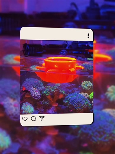 So excited to be a part of @reefapalooza_orlando this year! See you there April 25th and 26th Stop by and check out The Drifter! Available online at https://www.thecoralreeftalk.com #aquariums #reeftank #animals