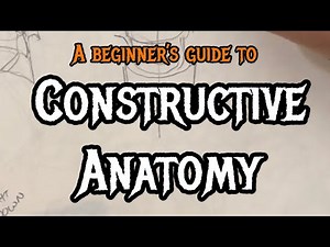 Constructive Anatomy Explained: How to Draw People