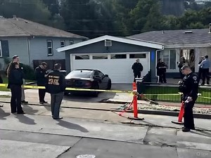 17K views · 26 reactions | Beloved actress lost his life this morning... See more | Daily Stories | Facebook