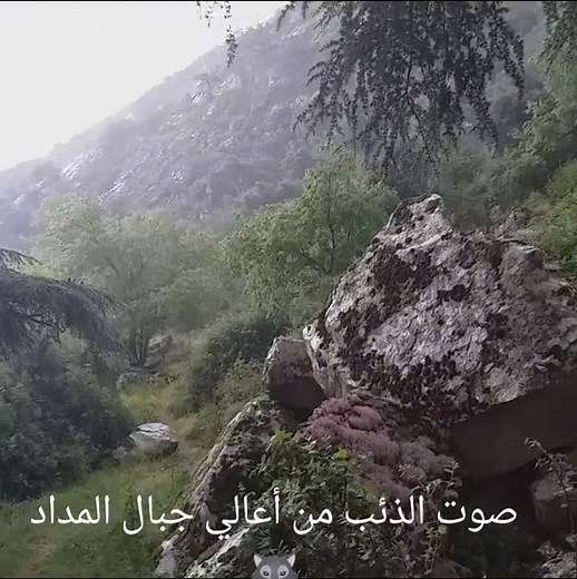 Vidéos de Taher Taher (@taher.taher930) avec الصوت الأصلي - Taher Taher